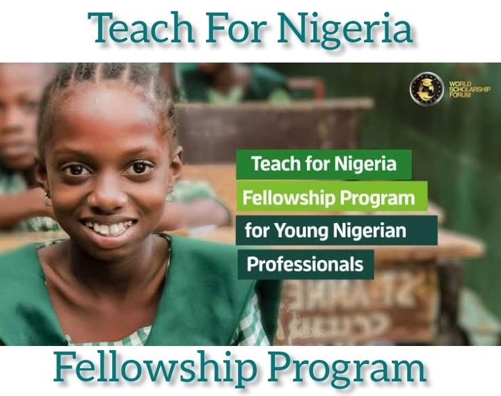 Nigerian Fellowship program