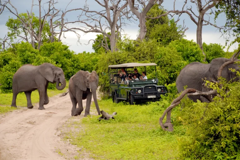 best safari locations in Africa