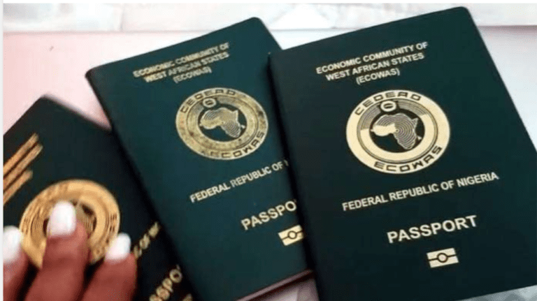 Nigerians in America Notify Government on Lack of Passport Booklets