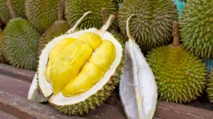 durian , an endangered fruit