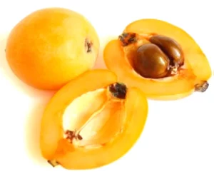 loquat fruit