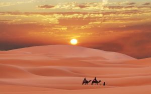 The Moroccan Sahara