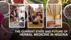 Herbal medicine today in Nigeria