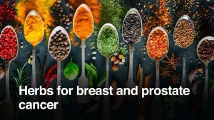 herbs for breast and prostate cancer