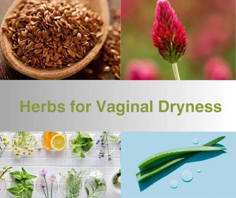 herbs for vaginal dryness